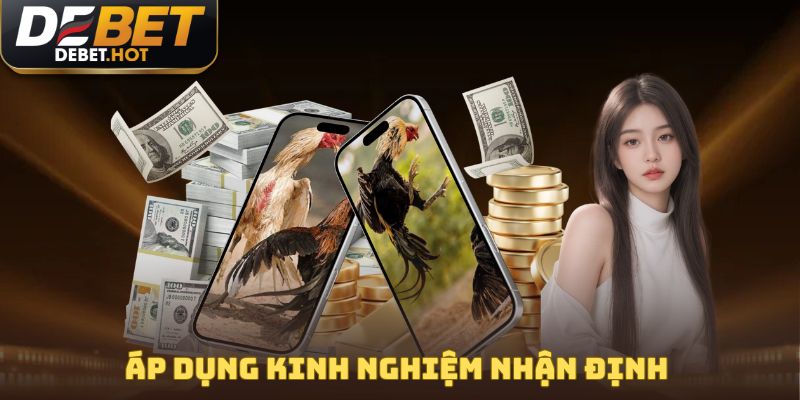 Cách Chọn Gà Chọi Hiệu Quả, Thắng Lớn Cùng Nhà Cái DEBET 4 Áp dụng kinh nghiệm nhận định theo cách chọn gà chọi