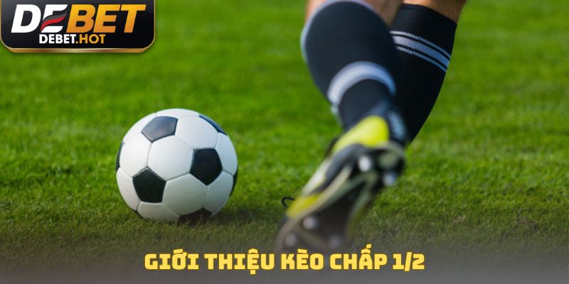 Kèo Chấp 1/2 - Quy Tắc Đặt Cược Siêu Hay Cho Tân Binh 2 Giới thiệu kèo chấp 1/2