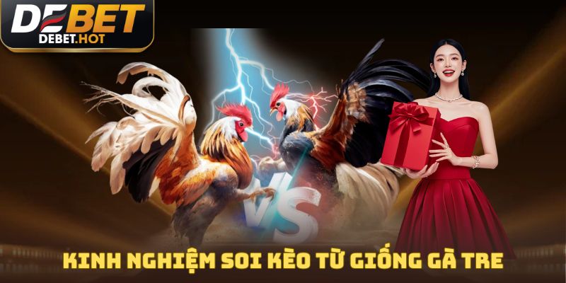 Cách Chọn Gà Chọi Hiệu Quả, Thắng Lớn Cùng Nhà Cái DEBET 3 Kinh nghiệm soi kèo từ giống gà tre