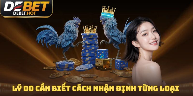 Cách Chọn Gà Chọi Hiệu Quả, Thắng Lớn Cùng Nhà Cái DEBET 2 Lý do cần biết cách nhận định từng loại gà chiến