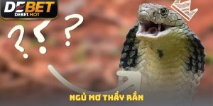 Ngủ mơ thấy rắn