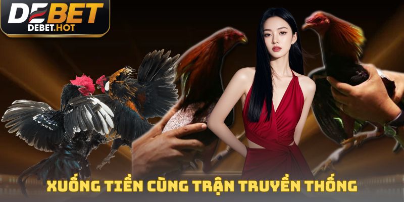 Xuống tiền cược trận đấu truyền thống tại đá gà DEBET